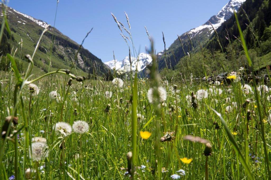 Hotel Garni Roesslhof Hollersbach im Pinzgau Exterior foto
