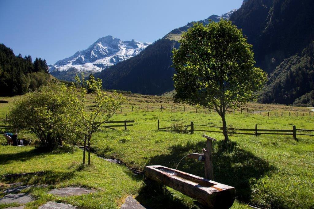 Hotel Garni Roesslhof Hollersbach im Pinzgau Exterior foto