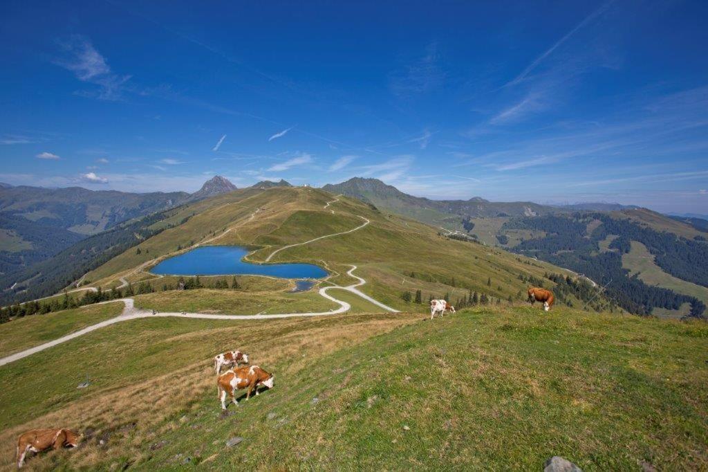 Hotel Garni Roesslhof Hollersbach im Pinzgau Exterior foto